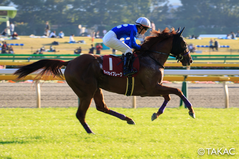 EOS 7D Mark IIを手にJRA東京競馬場で撮影をしてきた【2016.11.5】 - takac.log