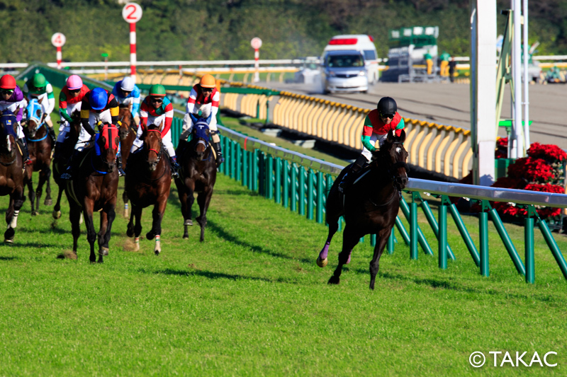 EOS 7D Mark IIを手にJRA東京競馬場で撮影をしてきた【2016.11.5】 - takac.log