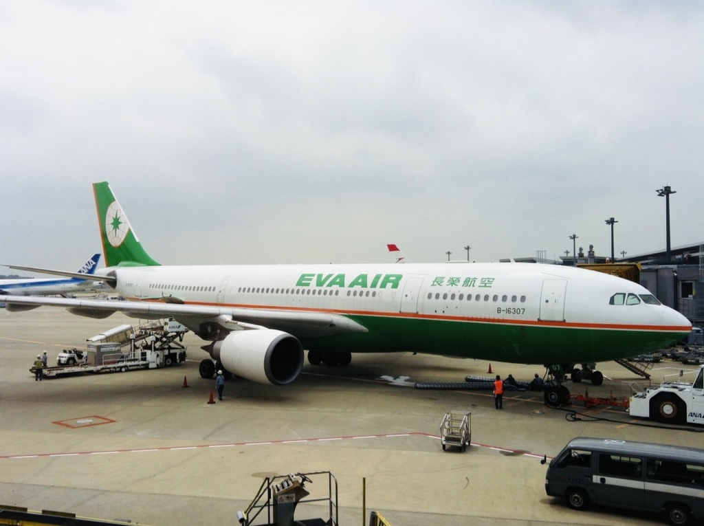 f:id:nekosogiradical:20181210221520j:plain