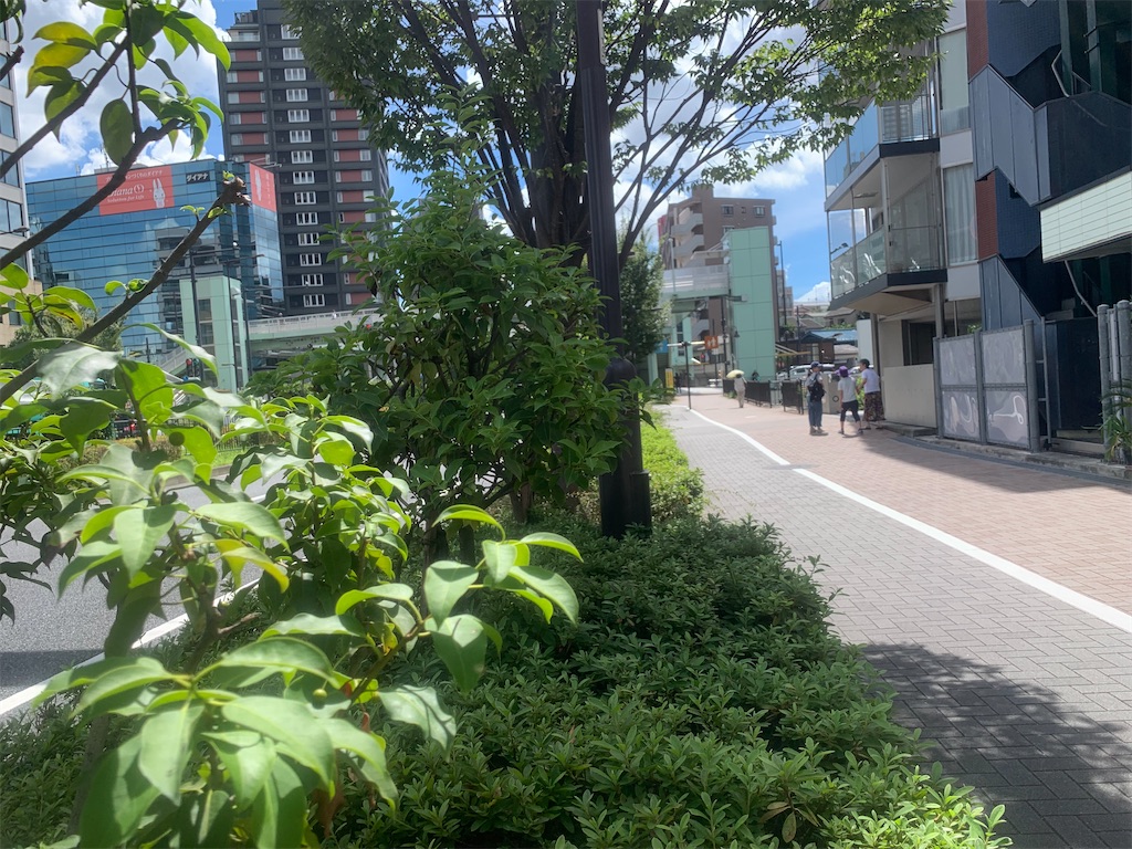 f:id:nekosui222:20230902224309j:image f:id:nekosui222:20230902224309j:image