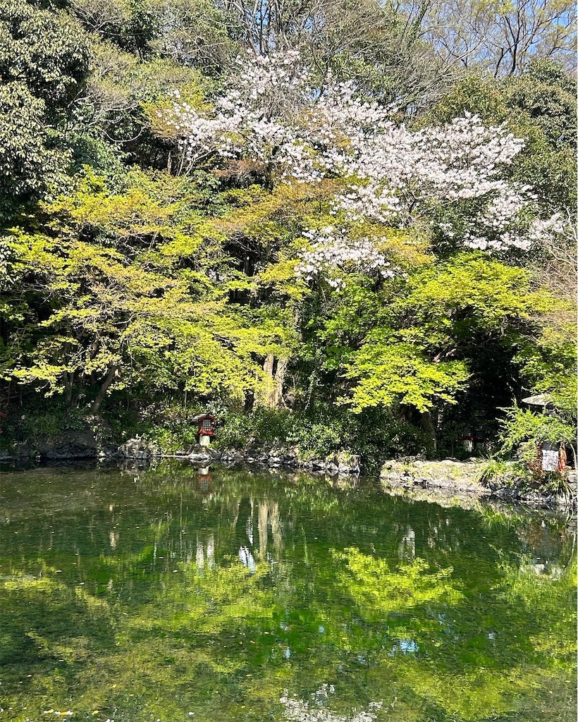 f:id:nekota-nekokichi:20230401005236j:image f:id:nekota-nekokichi:20230401005236j:image
