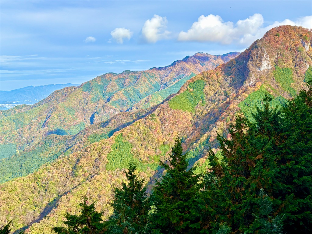 f:id:nekota-nekokichi:20251116201544j:image f:id:nekota-nekokichi:20251116201544j:image