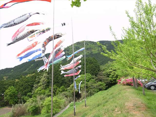 f:id:nekota51:20150430133821j:plain f:id:nekota51:20150430133821j:plain