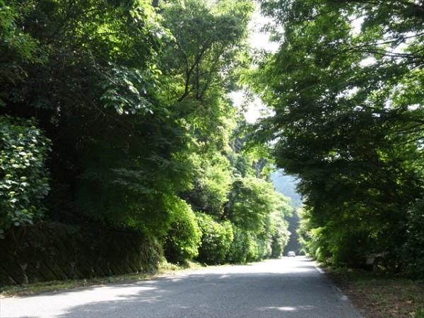 f:id:nekota51:20170826073319j:plain