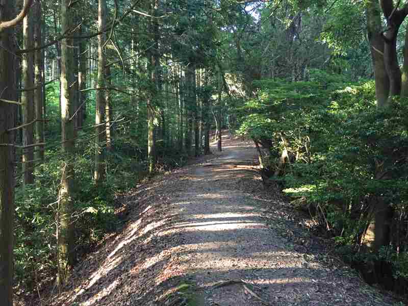 f:id:nekota51:20180629234851j:plain