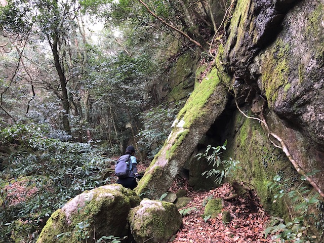 f:id:nekota51:20200319081500j:plain