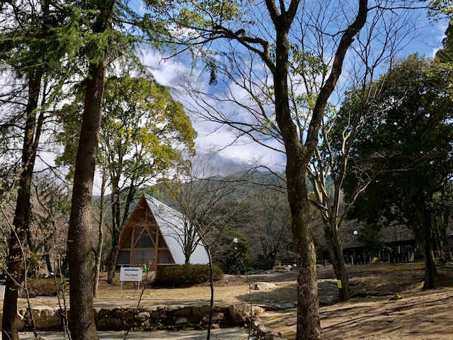 f:id:nekota51:20200319105353j:plain