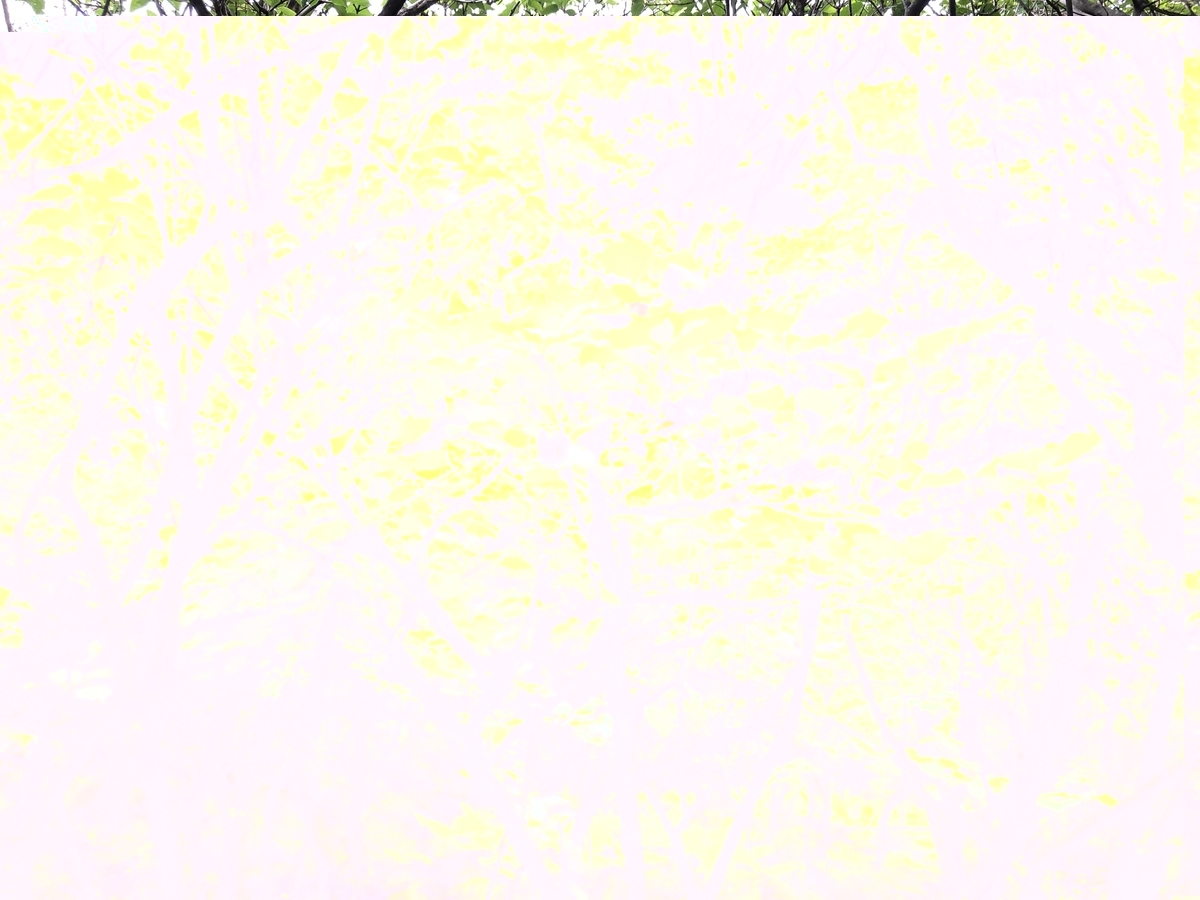 f:id:nekota51:20200621131353j:plain f:id:nekota51:20200621131353j:plain