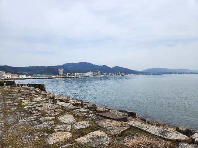 f:id:nekotake55:20240328143902j:image