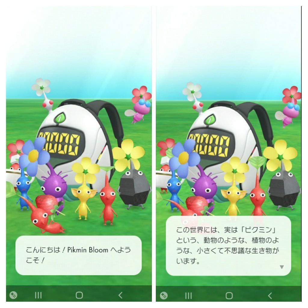 f:id:nekotetumamori:20211101040703j:plain