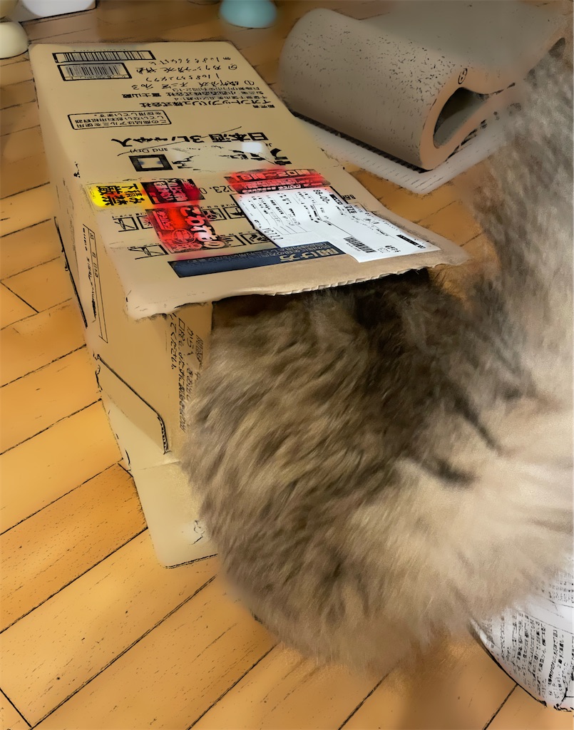 f:id:nekotochaji:20230331144503j:image