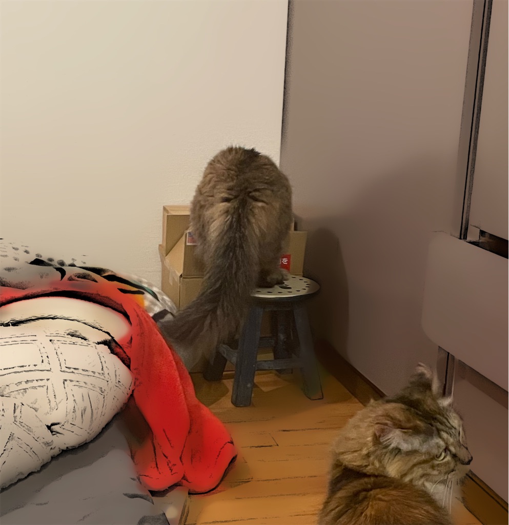 f:id:nekotochaji:20230331164631j:image