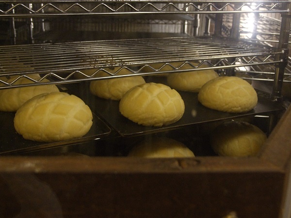 f:id:nekotohina:20161201091032j:plain