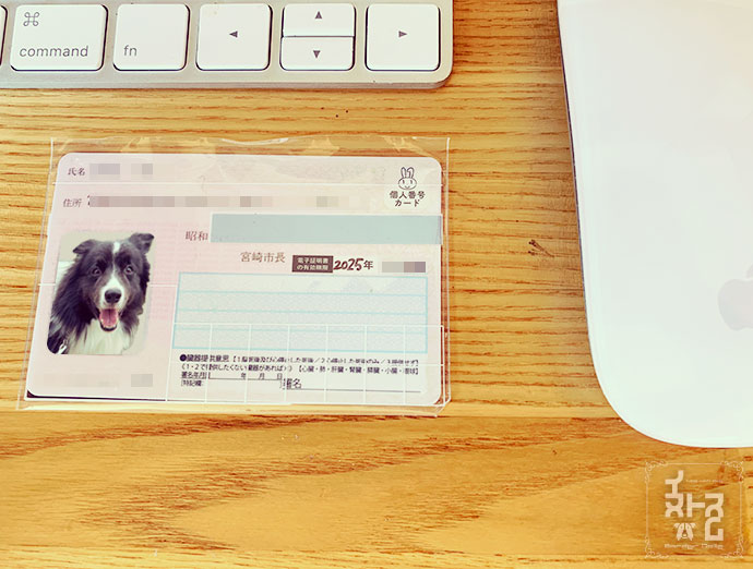 ペットの写真はNGです(念のため)