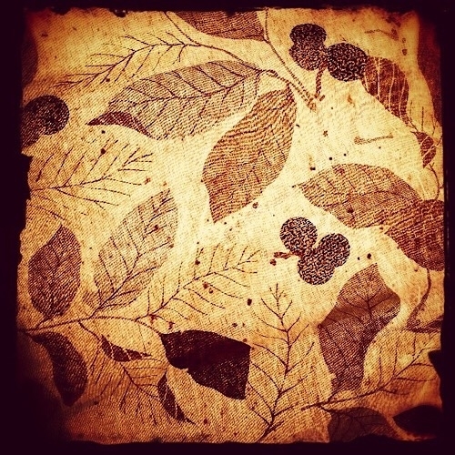 leaves in my bedroom