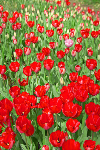 DSC_1893_edited-1.jpg