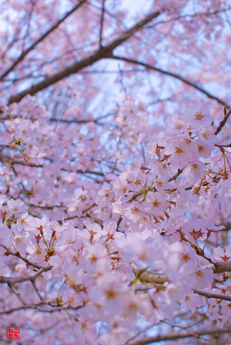 DSC_2394_edited-1.jpg