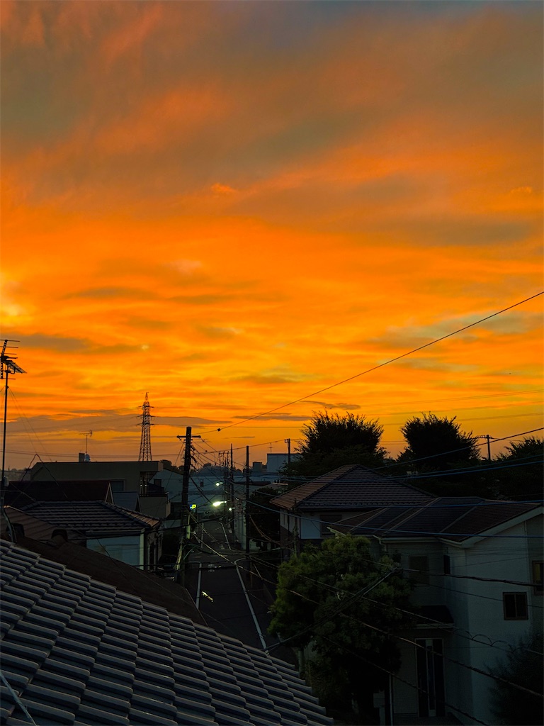 f:id:nekoway:20260820042151j:image
