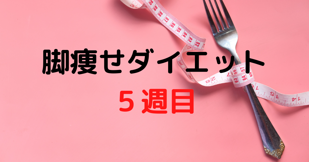 検証 脚痩せダイエット５週目 食事メニューも大公開 ねこやブログ 引きこもりアニメ女子の日常