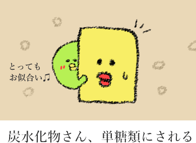 単糖類への分解 単糖類への分解