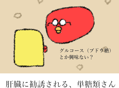 ファビノールの分かりやすい働き ファビノールの分かりやすい働き