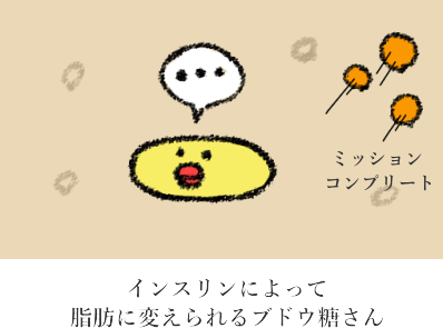 炭水化物が脂肪に合成される一般的な行程 炭水化物が脂肪に合成される一般的な行程
