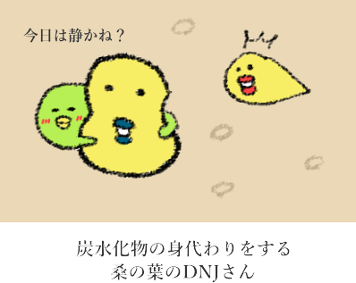 炭水化物か分解から逃れる図 炭水化物か分解から逃れる図
