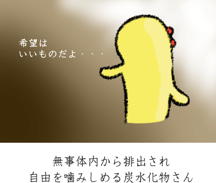 炭水化物の吸収 炭水化物の吸収