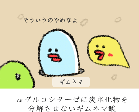 αグルコシターゼによる炭水化物の分解が緩和 αグルコシターゼによる炭水化物の分解が緩和