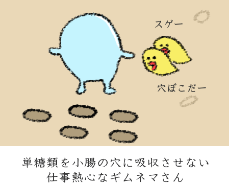 防ぎきれなかった単糖類の吸収を、小腸で抑えようとする 防ぎきれなかった単糖類の吸収を、小腸で抑えようとする