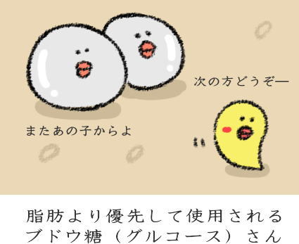 脂肪燃焼の順番 脂肪燃焼の順番