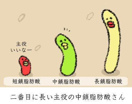 短鎖・中鎖・長鎖脂肪酸 短鎖・中鎖・長鎖脂肪酸