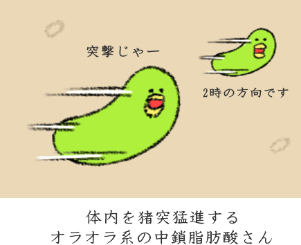 中鎖脂肪酸の特徴 中鎖脂肪酸の特徴