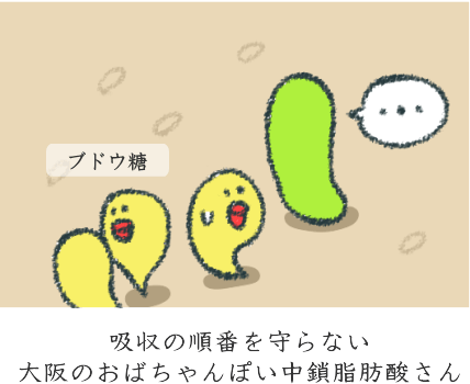 中鎖脂肪酸の特徴 中鎖脂肪酸の特徴