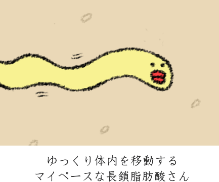 長鎖脂肪酸の特徴 長鎖脂肪酸の特徴