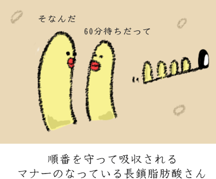 長鎖脂肪酸の特徴 長鎖脂肪酸の特徴