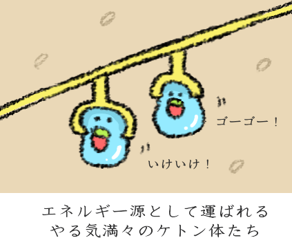 f:id:nekoyamachan:20161127144243p:plain ケトン体の体内での働き