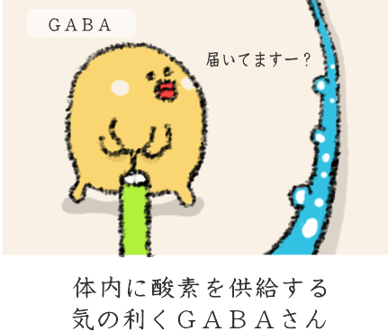 GABAによる脂肪燃焼効果