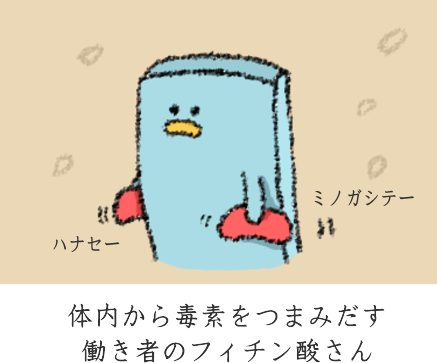体内の毒素を排出するフィチン酸 体内の毒素を排出するフィチン酸