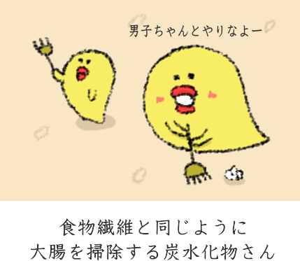 食物繊維の様な働き 食物繊維の様な働き