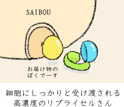 リポソーム化されたビタミンC リポソーム化されたビタミンC