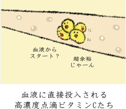 高濃度ビタミンC点滴 高濃度ビタミンC点滴
