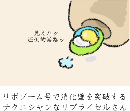 リポソーム化されたビタミンC リポソーム化されたビタミンC