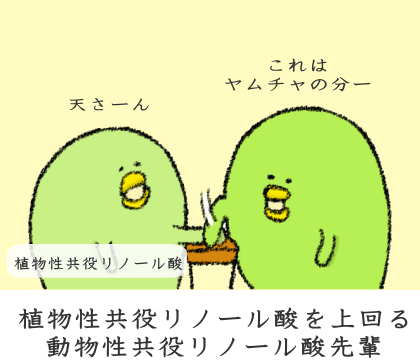 動物性共役リノール酸と植物性共役リノール酸 動物性共役リノール酸と植物性共役リノール酸