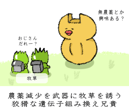 f:id:nekoyamachan:20170316210830p:plain f:id:nekoyamachan:20170316210830p:plain