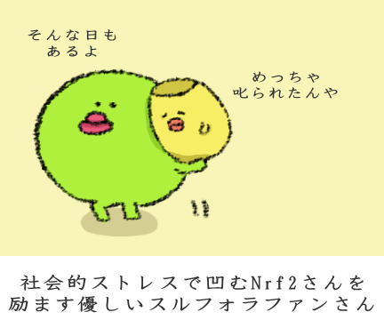 f:id:nekoyamachan:20170323133818p:plain f:id:nekoyamachan:20170323133818p:plain