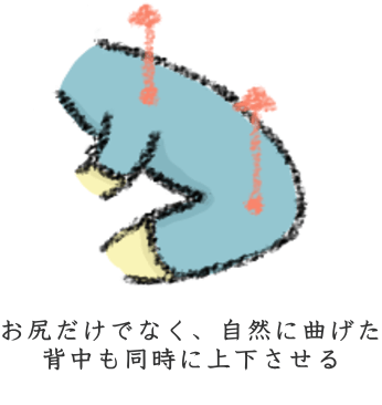 f:id:nekoyamachan:20170412144426p:plain 上下運動の際は、背中と頭を並行に上下させる