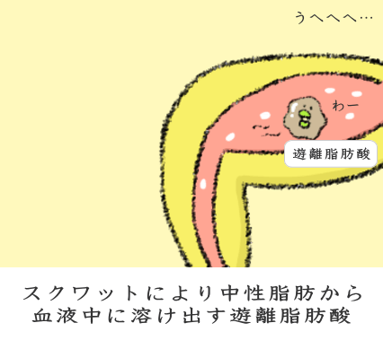 遊離脂肪酸とは？