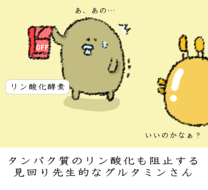 リン酸化の欠落をグルタミンが予防 リン酸化の欠落をグルタミンが予防