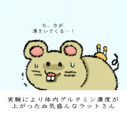 グルタミン濃度とタンパク質合成が格段に増加 グルタミン濃度とタンパク質合成が格段に増加